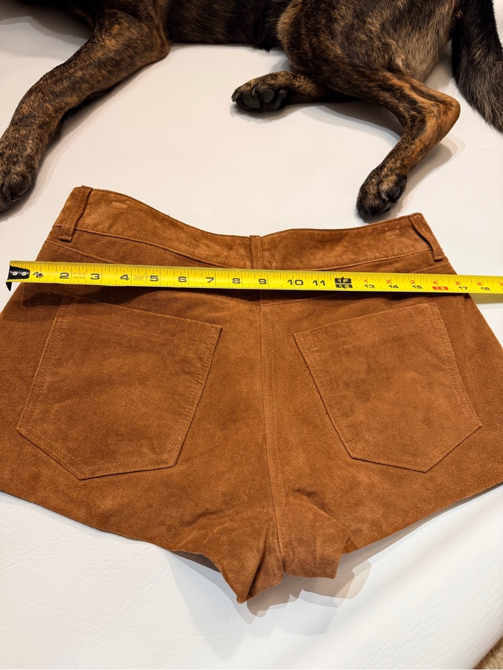 Shorts - Picture 6 of 7